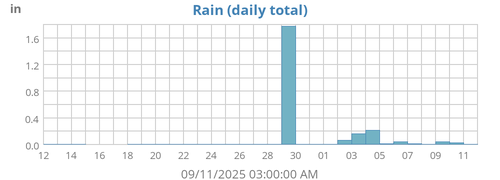 Rain