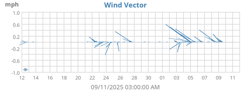 Wind Vector