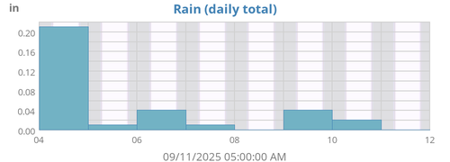Rain